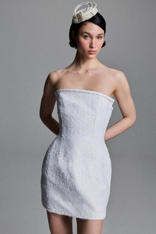 STRAPLESS TAILORED MINI DRESS IN LACE-CREPE